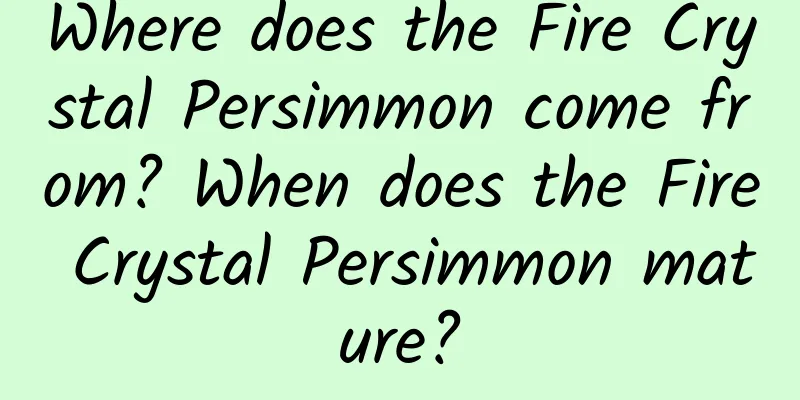 Where does the Fire Crystal Persimmon come from? When does the Fire Crystal Persimmon mature?