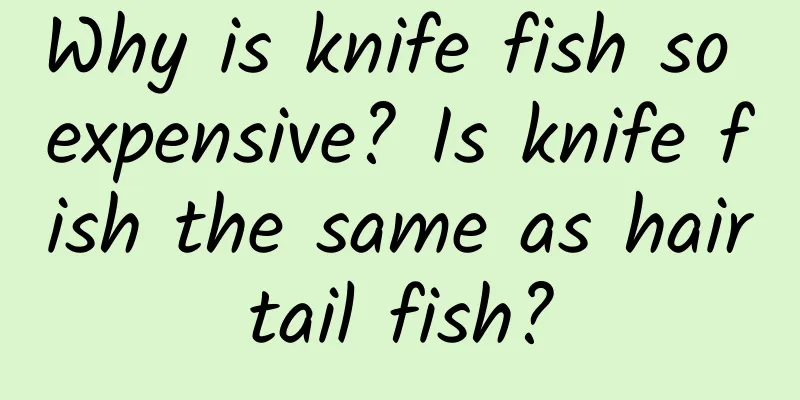 Why is knife fish so expensive? Is knife fish the same as hairtail fish?