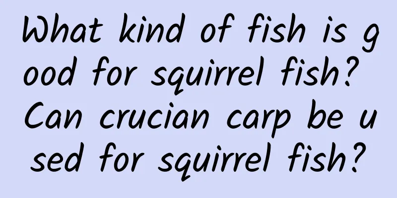 What kind of fish is good for squirrel fish? Can crucian carp be used for squirrel fish?