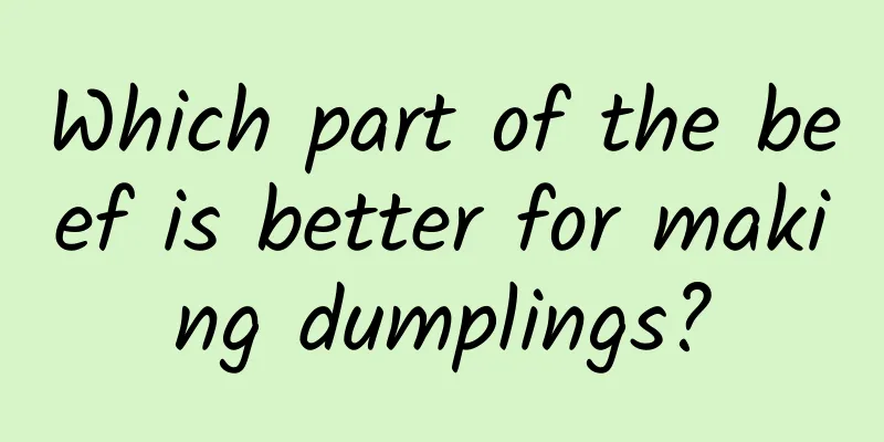 Which part of the beef is better for making dumplings?