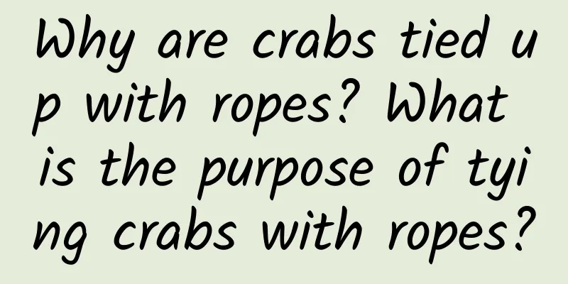 Why are crabs tied up with ropes? What is the purpose of tying crabs with ropes?
