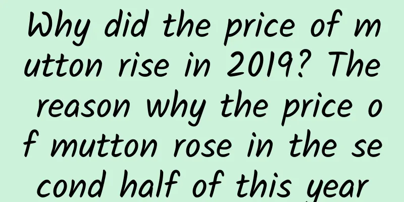 Why did the price of mutton rise in 2019? The reason why the price of mutton rose in the second half of this year
