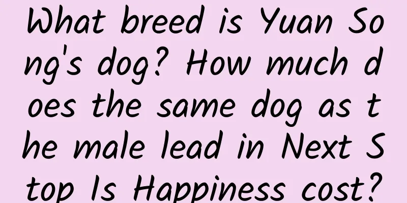 What breed is Yuan Song's dog? How much does the same dog as the male lead in Next Stop Is Happiness cost?