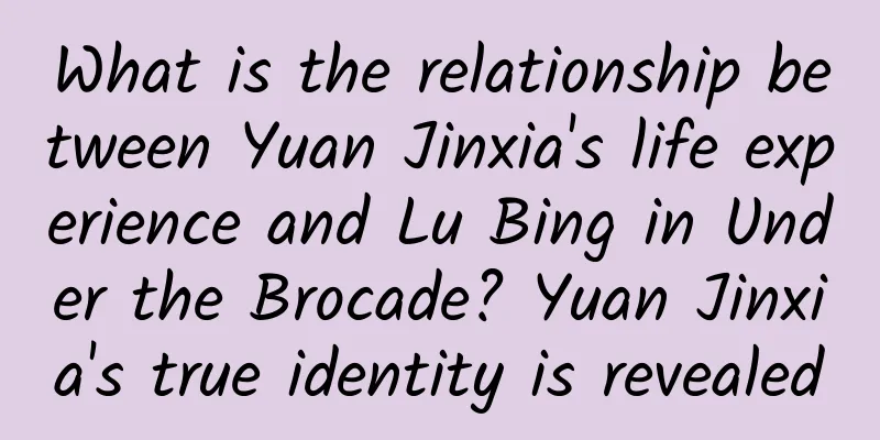 What is the relationship between Yuan Jinxia's life experience and Lu Bing in Under the Brocade? Yuan Jinxia's true identity is revealed