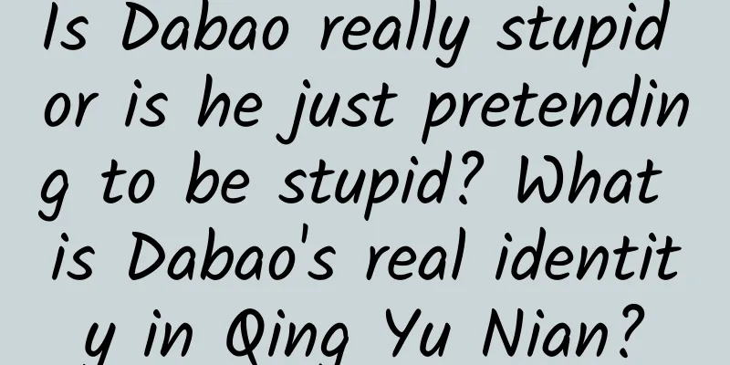 Is Dabao really stupid or is he just pretending to be stupid? What is Dabao's real identity in Qing Yu Nian?