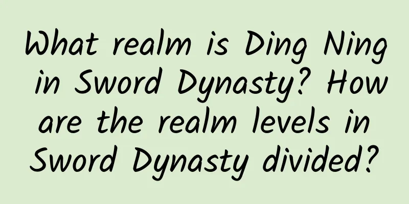 What realm is Ding Ning in Sword Dynasty? How are the realm levels in Sword Dynasty divided?