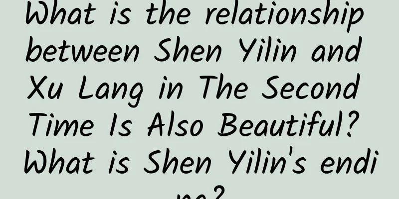 What is the relationship between Shen Yilin and Xu Lang in The Second Time Is Also Beautiful? What is Shen Yilin's ending?