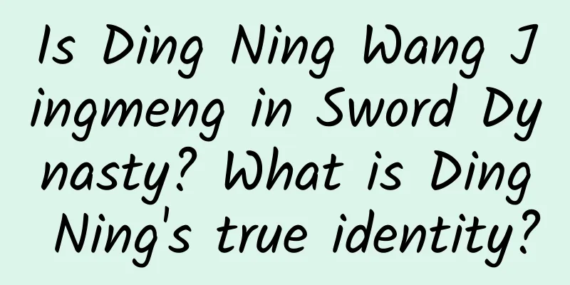 Is Ding Ning Wang Jingmeng in Sword Dynasty? What is Ding Ning's true identity?