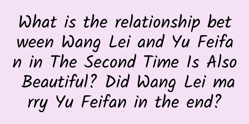 What is the relationship between Wang Lei and Yu Feifan in The Second Time Is Also Beautiful? Did Wang Lei marry Yu Feifan in the end?