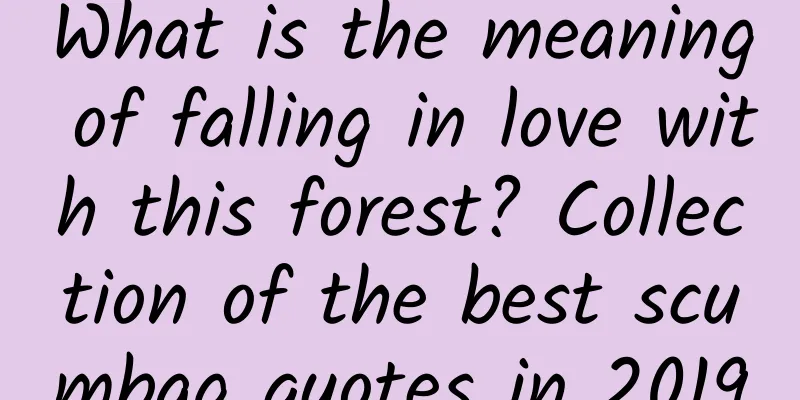 What is the meaning of falling in love with this forest? Collection of the best scumbag quotes in 2019