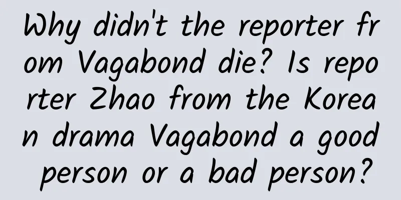 Why didn't the reporter from Vagabond die? Is reporter Zhao from the Korean drama Vagabond a good person or a bad person?