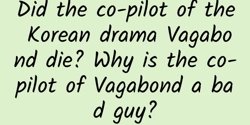 Did the co-pilot of the Korean drama Vagabond die? Why is the co-pilot of Vagabond a bad guy?
