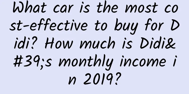 What car is the most cost-effective to buy for Didi? How much is Didi's monthly income in 2019?
