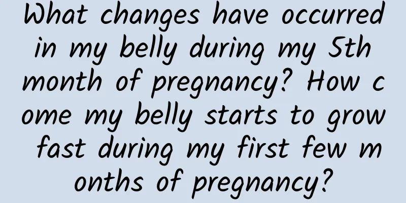 What changes have occurred in my belly during my 5th month of pregnancy? How come my belly starts to grow fast during my first few months of pregnancy?