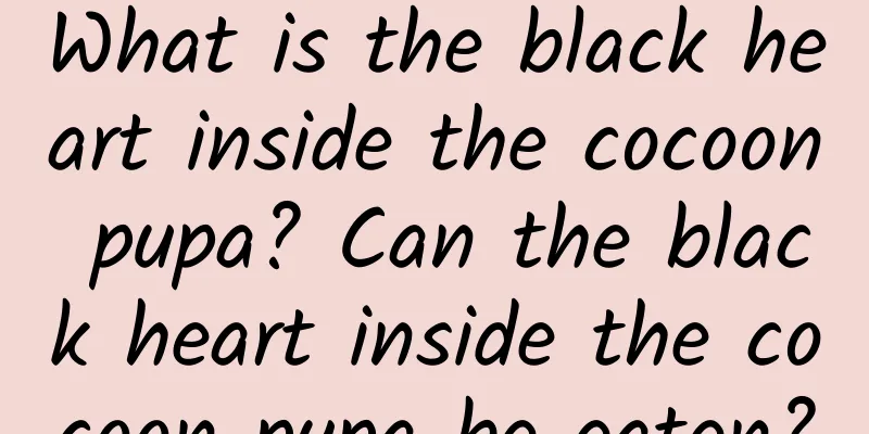 What is the black heart inside the cocoon pupa? Can the black heart inside the cocoon pupa be eaten?