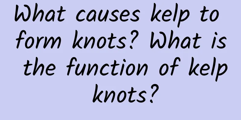 What causes kelp to form knots? What is the function of kelp knots?