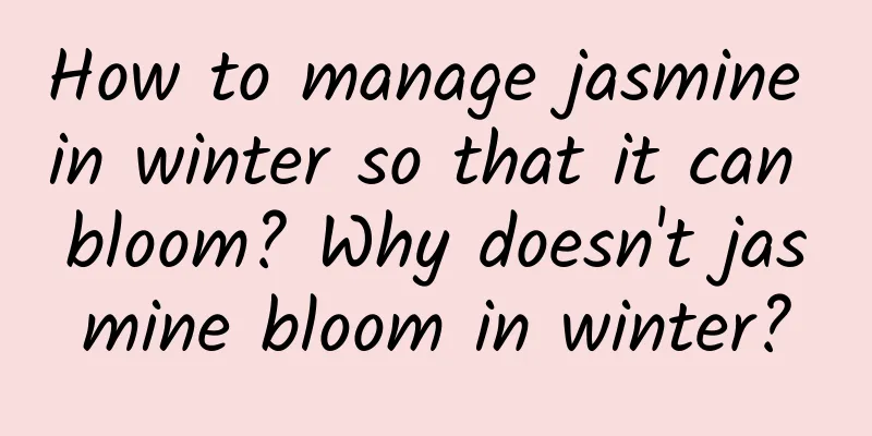 How to manage jasmine in winter so that it can bloom? Why doesn't jasmine bloom in winter?