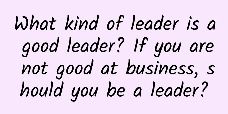 What kind of leader is a good leader? If you are not good at business, should you be a leader?