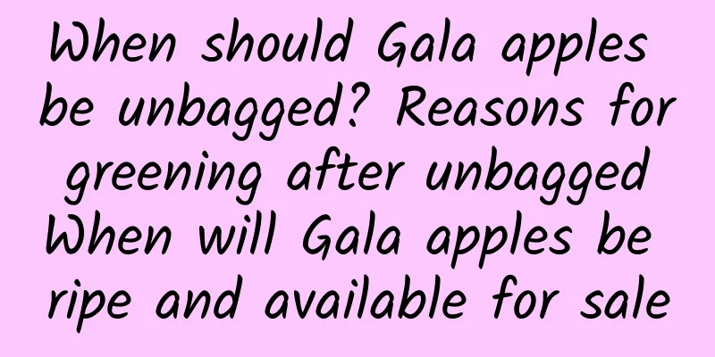 When should Gala apples be unbagged? Reasons for greening after unbagged When will Gala apples be ripe and available for sale