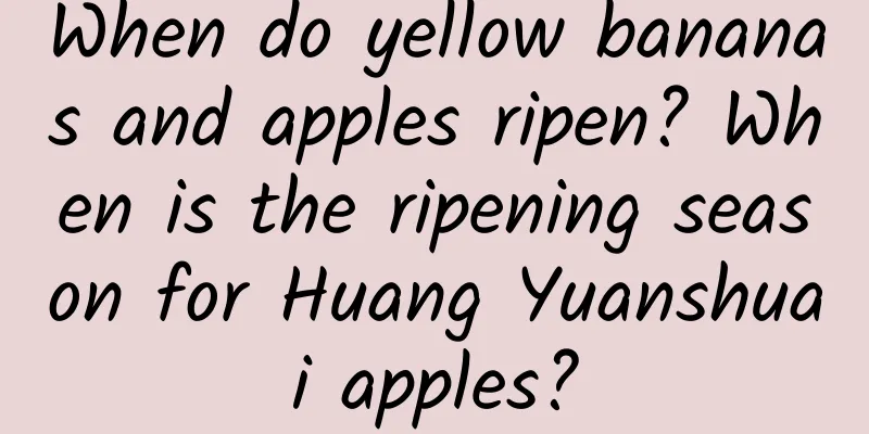 When do yellow bananas and apples ripen? When is the ripening season for Huang Yuanshuai apples?