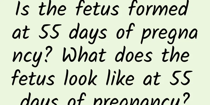 Is the fetus formed at 55 days of pregnancy? What does the fetus look like at 55 days of pregnancy?