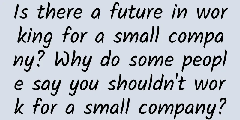 Is there a future in working for a small company? Why do some people say you shouldn't work for a small company?