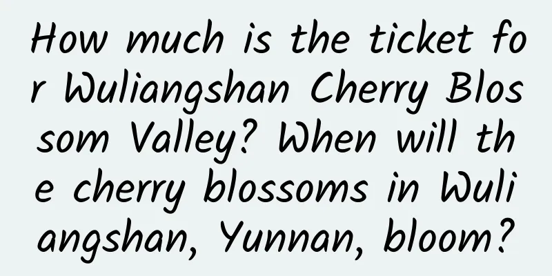 How much is the ticket for Wuliangshan Cherry Blossom Valley? When will the cherry blossoms in Wuliangshan, Yunnan, bloom?
