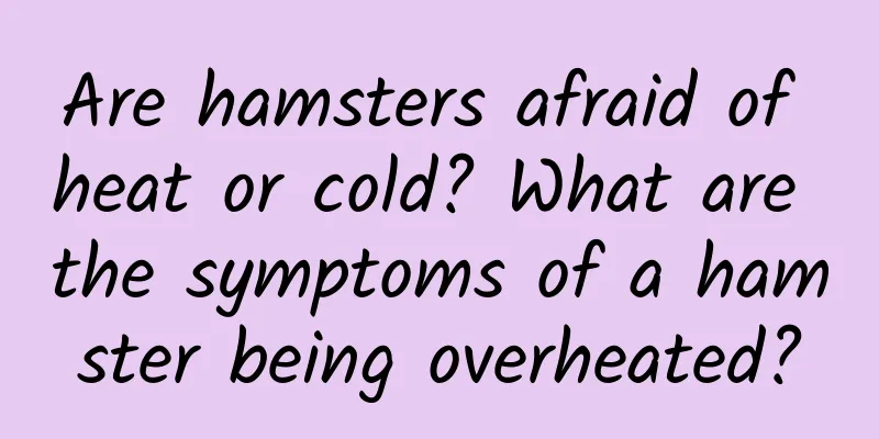 Are hamsters afraid of heat or cold? What are the symptoms of a hamster being overheated?