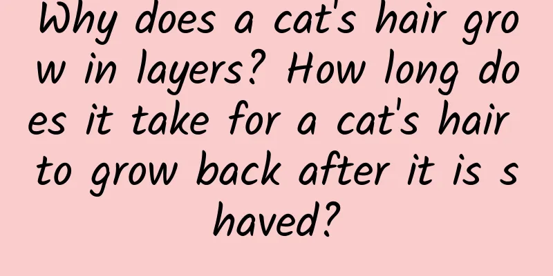 Why does a cat's hair grow in layers? How long does it take for a cat's hair to grow back after it is shaved?