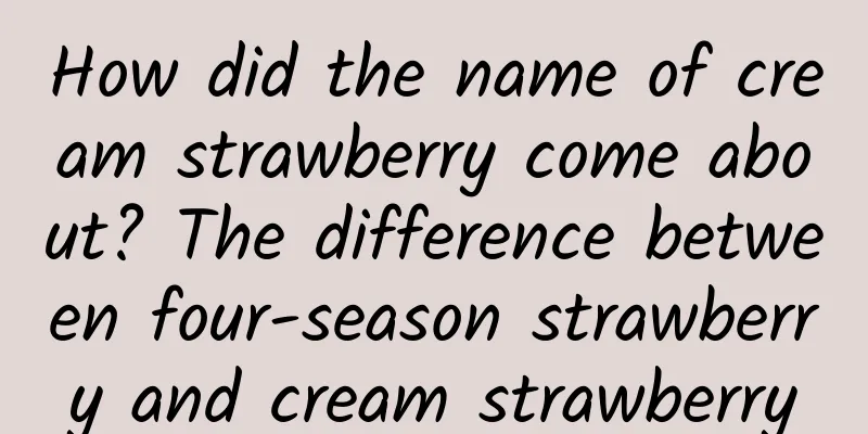 How did the name of cream strawberry come about? The difference between four-season strawberry and cream strawberry