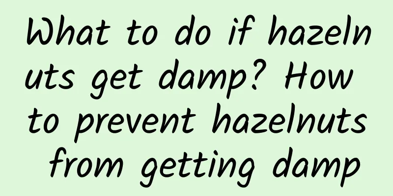 What to do if hazelnuts get damp? How to prevent hazelnuts from getting damp