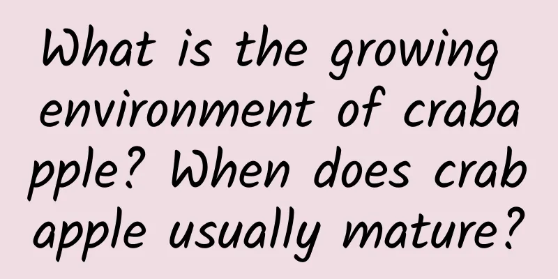 What is the growing environment of crabapple? When does crabapple usually mature?