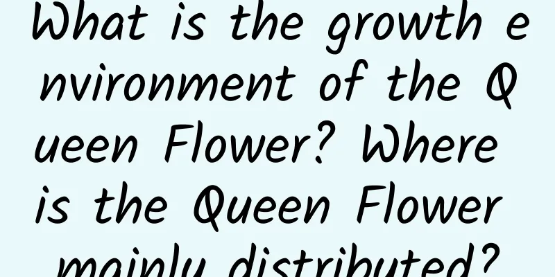 What is the growth environment of the Queen Flower? Where is the Queen Flower mainly distributed?