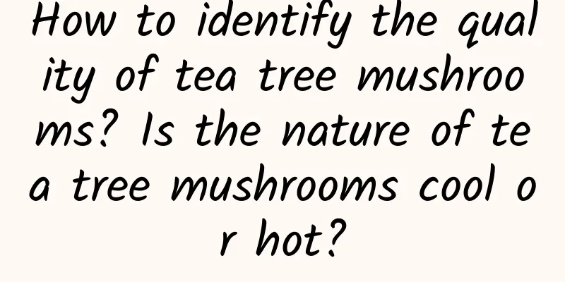 How to identify the quality of tea tree mushrooms? Is the nature of tea tree mushrooms cool or hot?