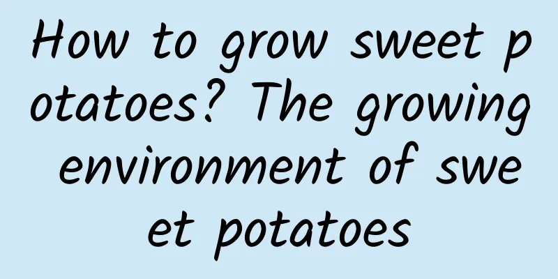 How to grow sweet potatoes? The growing environment of sweet potatoes