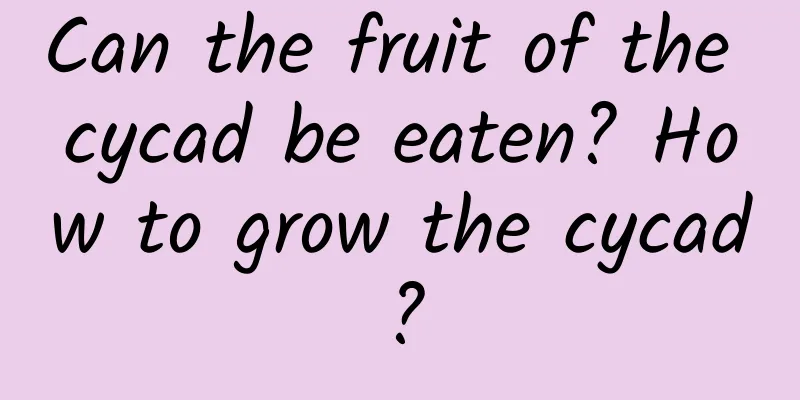 Can the fruit of the cycad be eaten? How to grow the cycad?