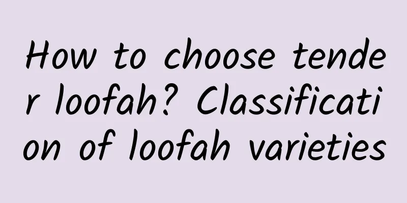 How to choose tender loofah? Classification of loofah varieties
