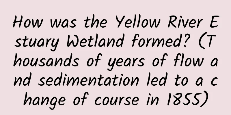 How was the Yellow River Estuary Wetland formed? (Thousands of years of flow and sedimentation led to a change of course in 1855)