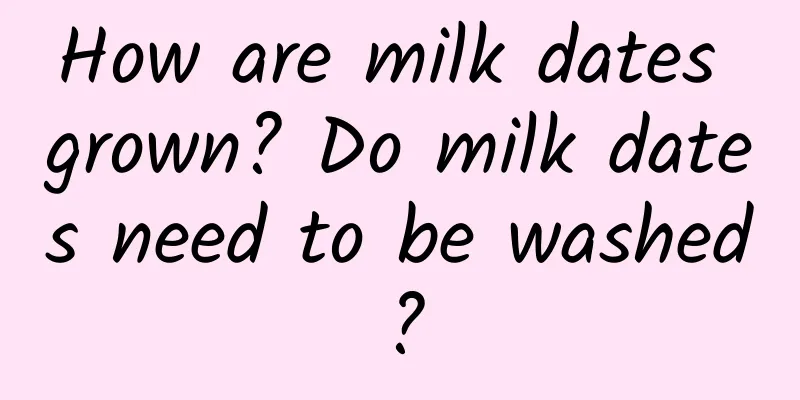 How are milk dates grown? Do milk dates need to be washed?