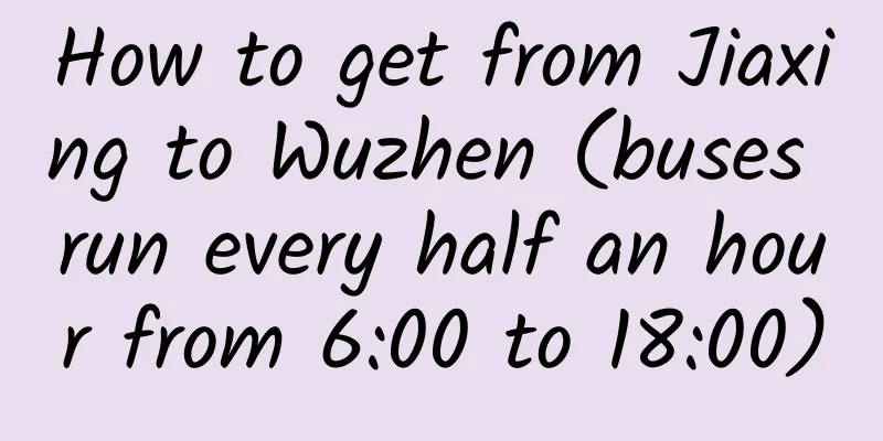 How to get from Jiaxing to Wuzhen (buses run every half an hour from 6:00 to 18:00)