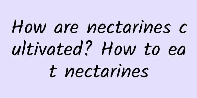 How are nectarines cultivated? How to eat nectarines