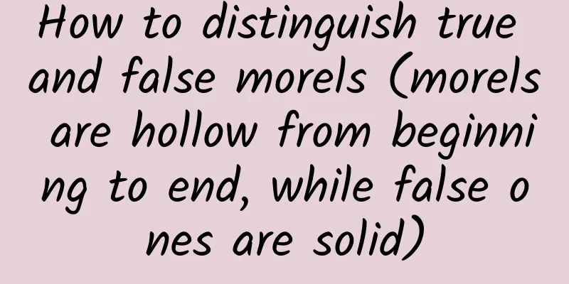 How to distinguish true and false morels (morels are hollow from beginning to end, while false ones are solid)