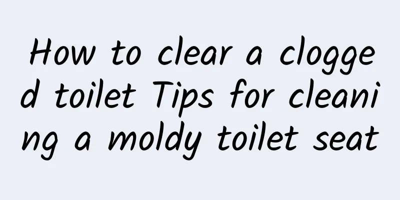 How to clear a clogged toilet Tips for cleaning a moldy toilet seat