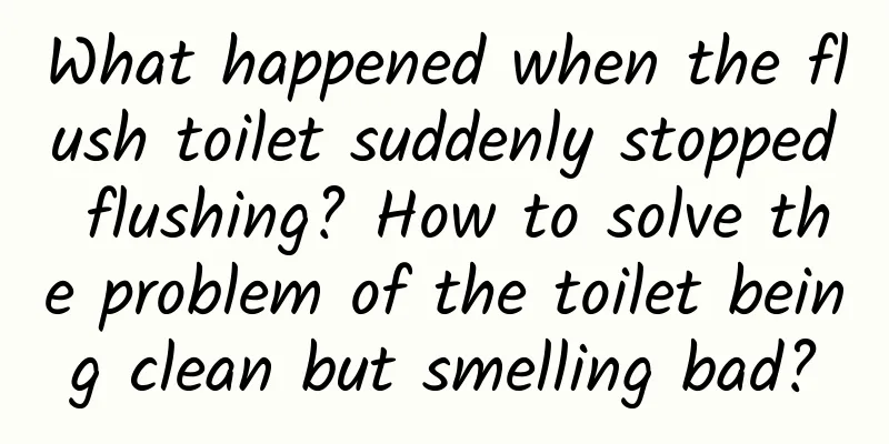 What happened when the flush toilet suddenly stopped flushing? How to solve the problem of the toilet being clean but smelling bad?