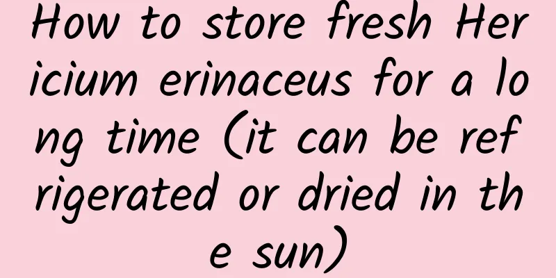 How to store fresh Hericium erinaceus for a long time (it can be refrigerated or dried in the sun)