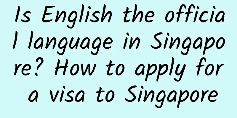 Is English the official language in Singapore? How to apply for a visa to Singapore
