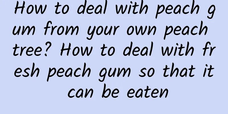 How to deal with peach gum from your own peach tree? How to deal with fresh peach gum so that it can be eaten