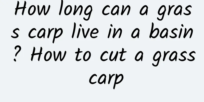 How long can a grass carp live in a basin? How to cut a grass carp
