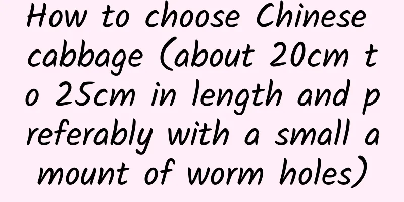 How to choose Chinese cabbage (about 20cm to 25cm in length and preferably with a small amount of worm holes)