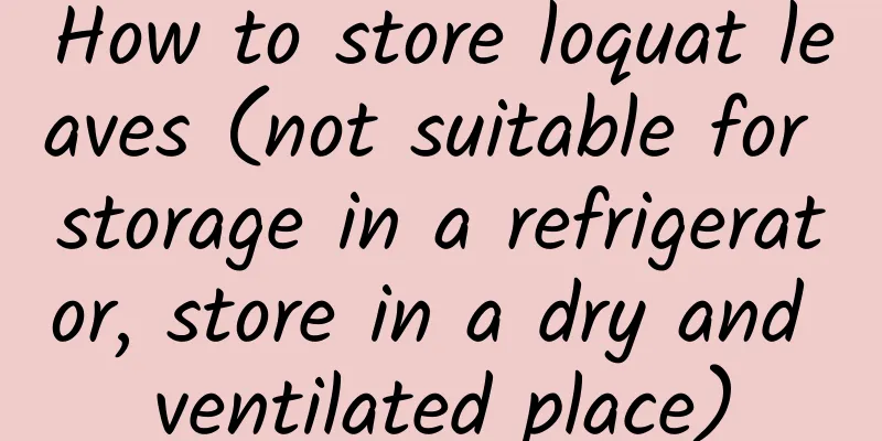 How to store loquat leaves (not suitable for storage in a refrigerator, store in a dry and ventilated place)